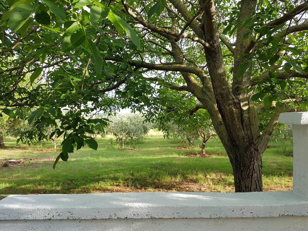 Villa Rosa With Yard And Children'S Playground Tar-Vabriga Eksteriør billede
