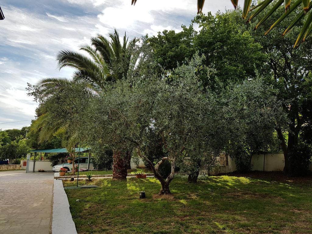 Villa Rosa With Yard And Children'S Playground Tar-Vabriga Eksteriør billede